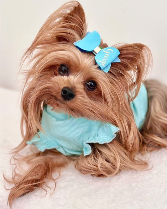 Arabella Frilly Sleeve Top Tiffany Blue