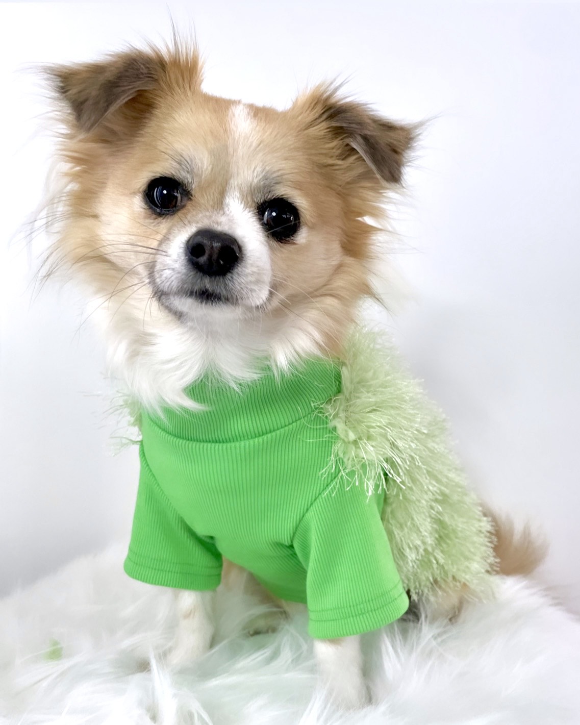 Sweet Floof Jumper Green