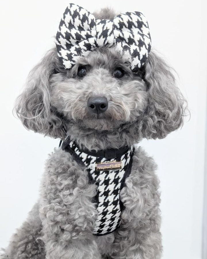 Little Luxe Houndstooth Harness