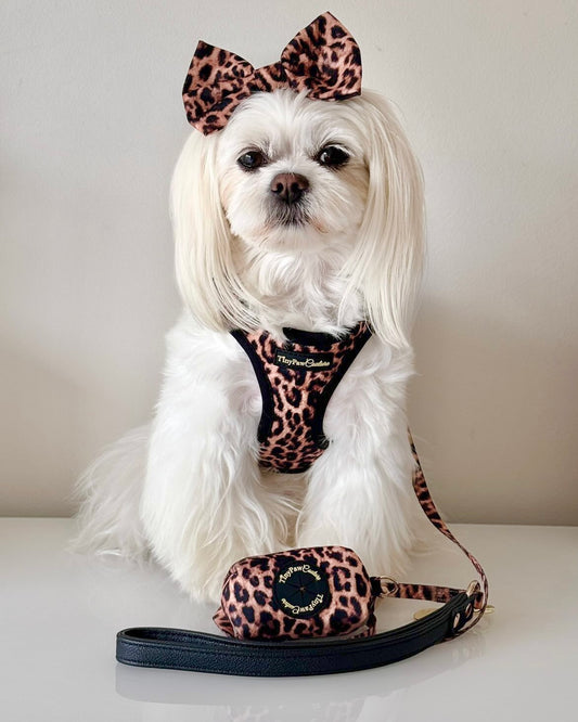 Little Luxe Leopard Set