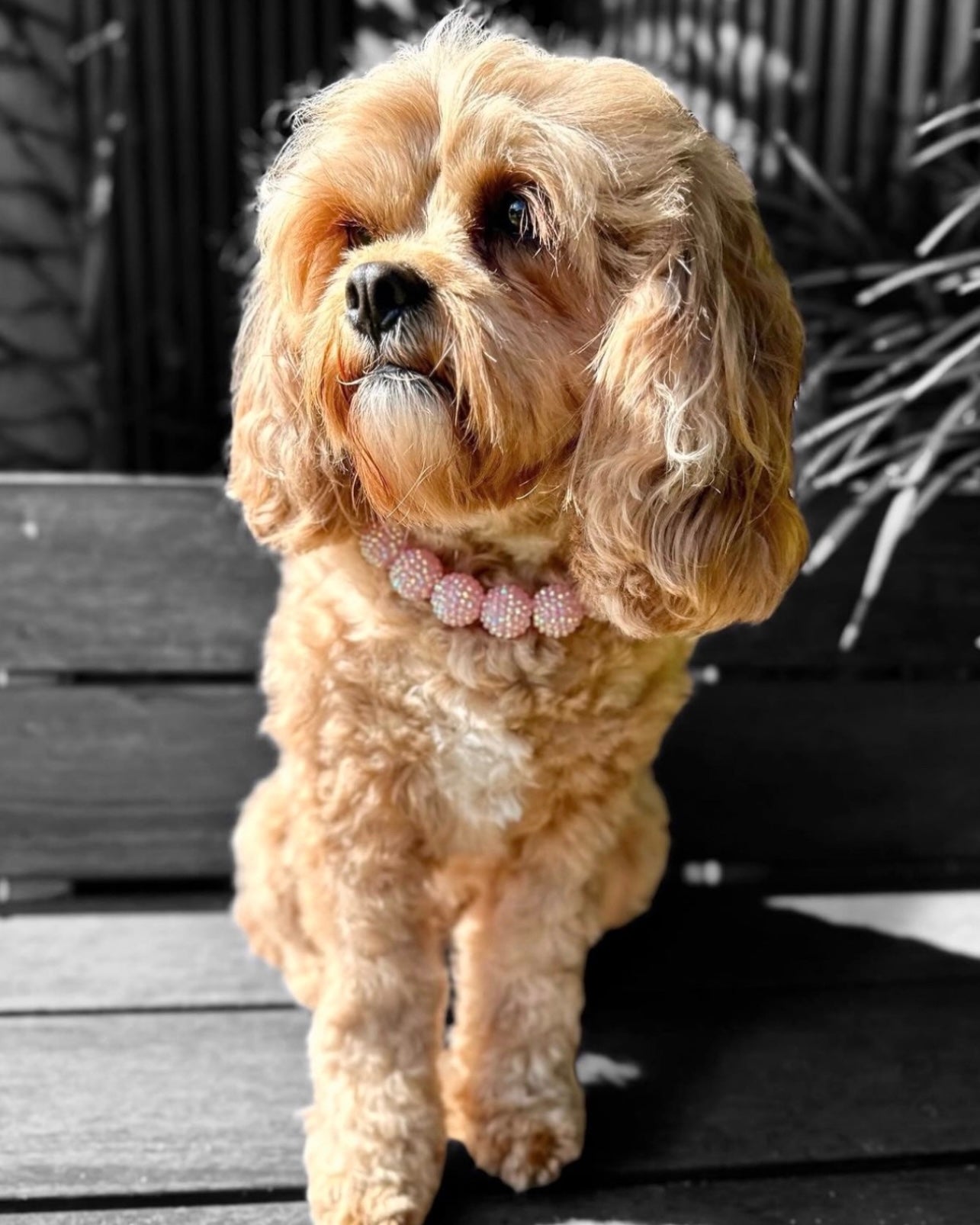 Emma Pink Necklace