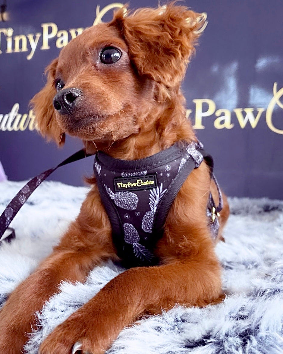 Little Luxe Pineapples Step In Vest Harness