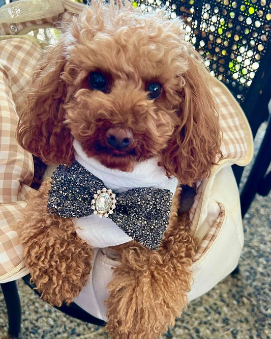 Arden Deluxe Bandana White