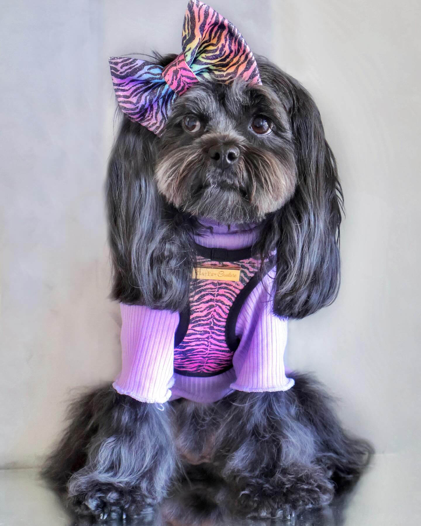 Little Luxe Glitz & Glam Zebra Bow