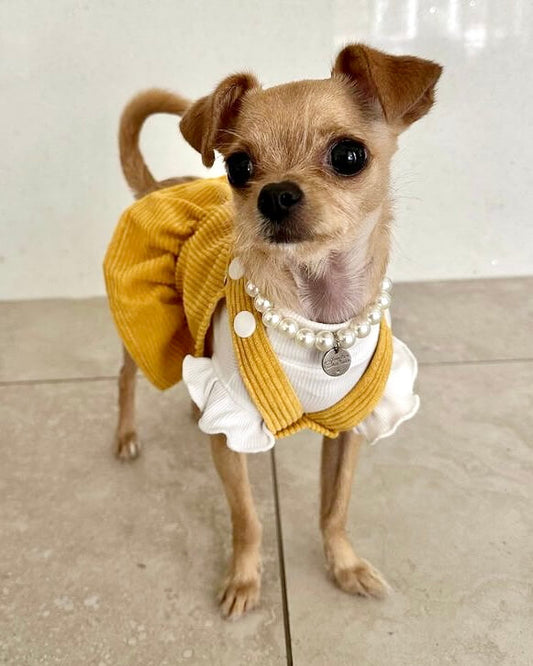 Miss Polly Corduroy Dress Mustard