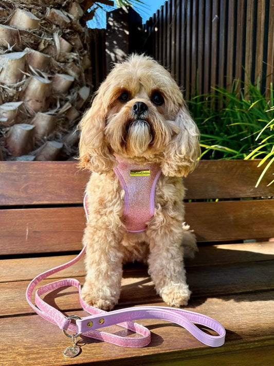 Little Luxe Glitz & Glam Pink Lead