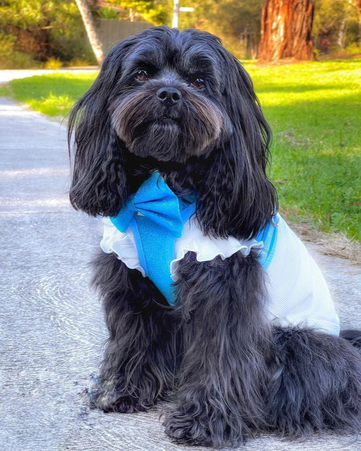 Little Luxe Glitz & Glam Blue Harness