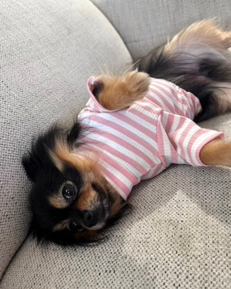 Sammy Striped Top Pink