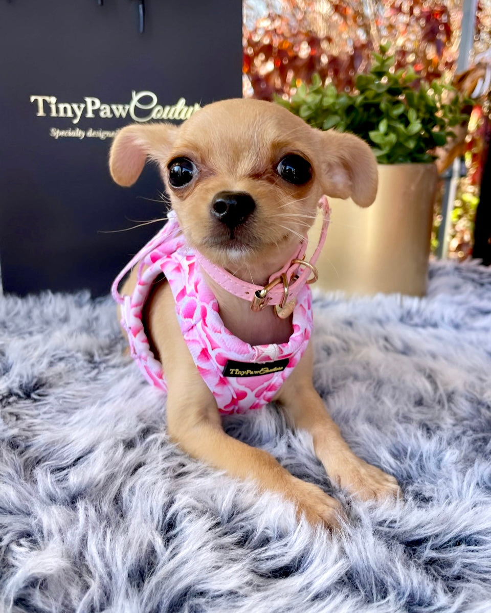 Wet'n'Wild Pink Gatsby Step In Vest Harness