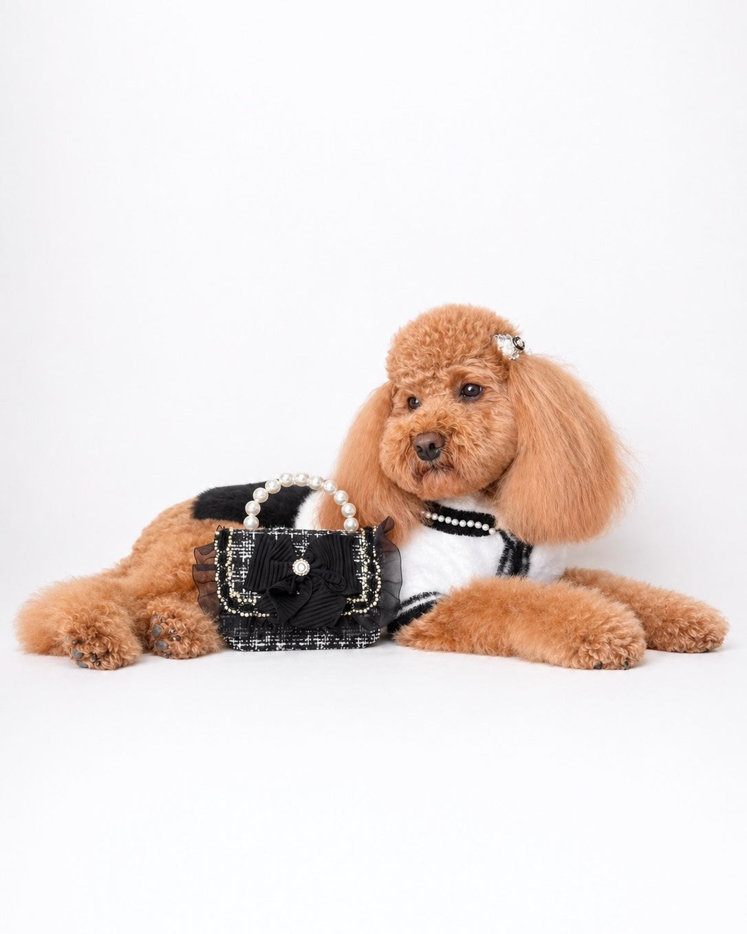 Tiny Paw Couture Mini Bag - Noir Belle Luxe
