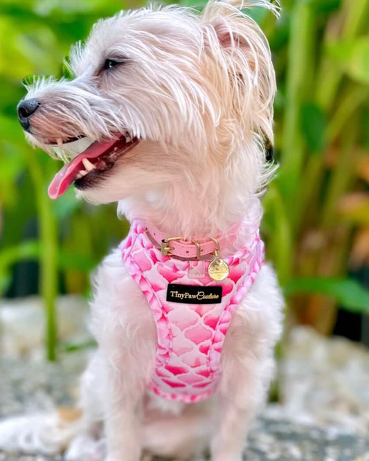 Wet'n'Wild Pink Gatsby Step In Vest Harness
