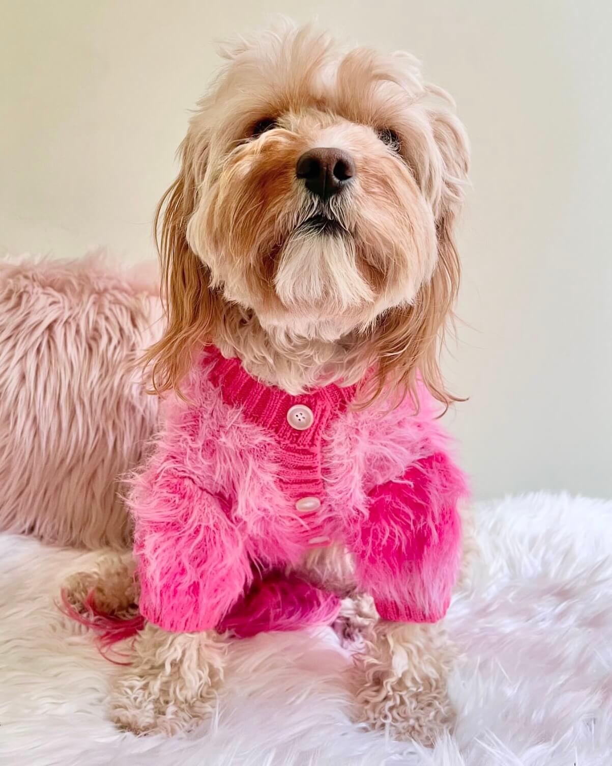 Faye Floofy Cardigan