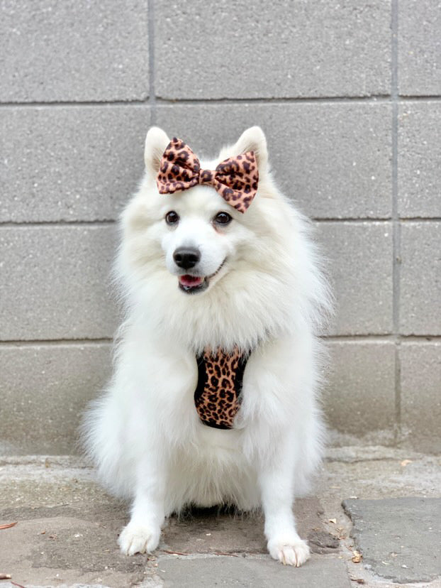 Little Luxe Leopard Bow