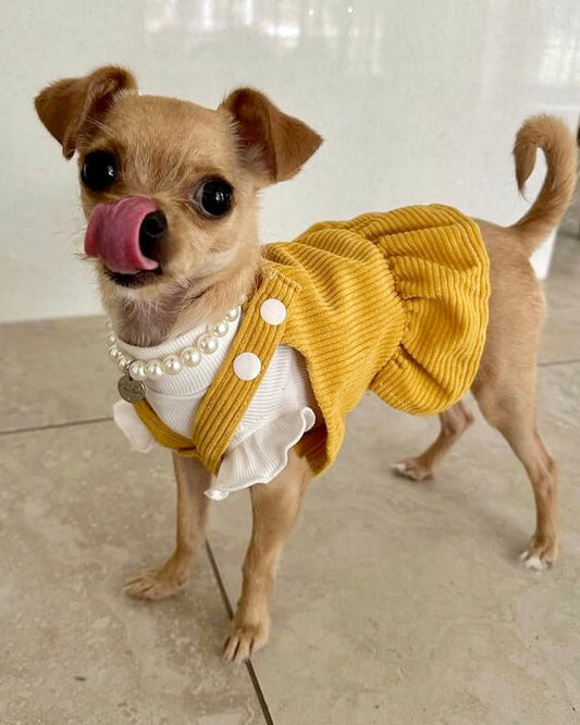 Miss Polly Corduroy Dress Mustard