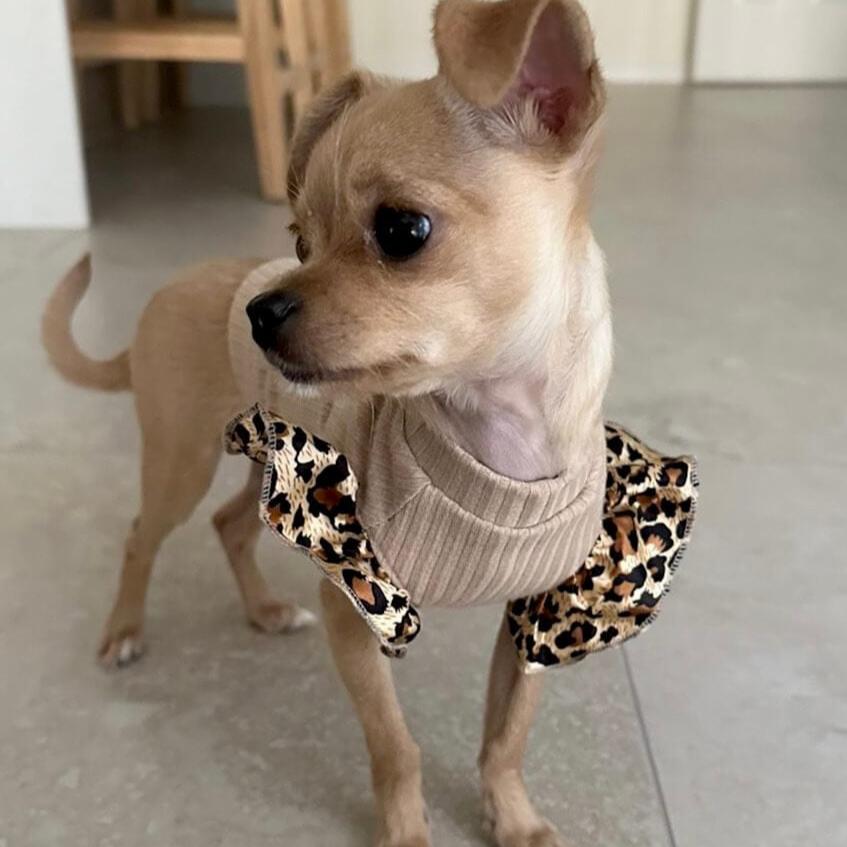 Leah Leopard Frilly Sleeve Top