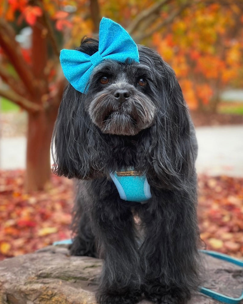 Little Luxe Glitz & Glam Blue Harness