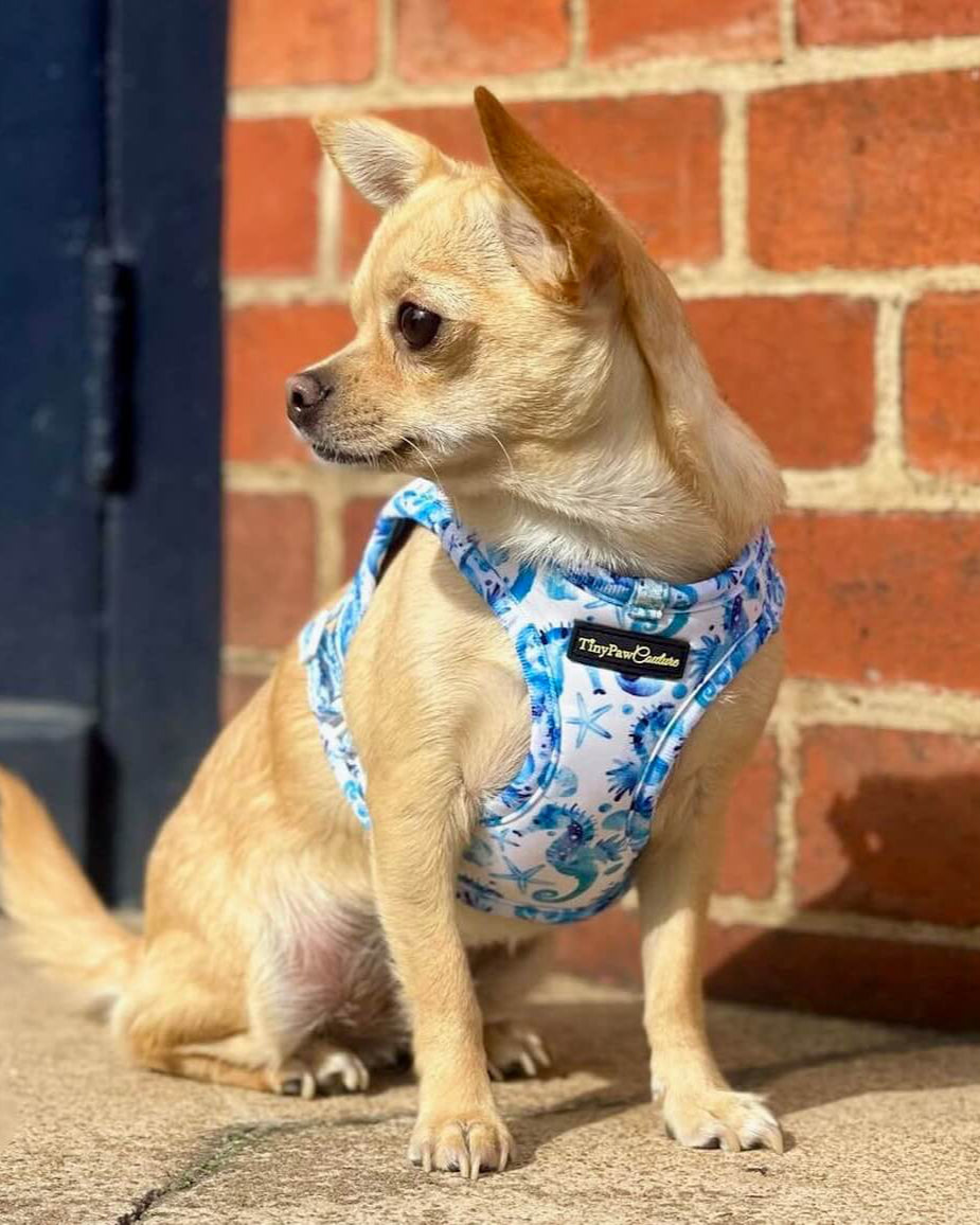 Wet'n'Wild Seahorse Step In Vest Harness