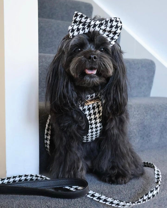 Little Luxe Houndstooth Lead