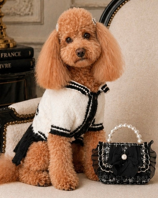 Margot Parisian Winter Dress