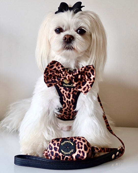 Little Luxe Leopard Set