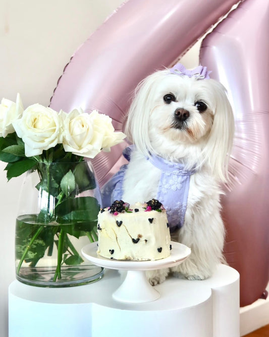 Matilda Deluxe Dress