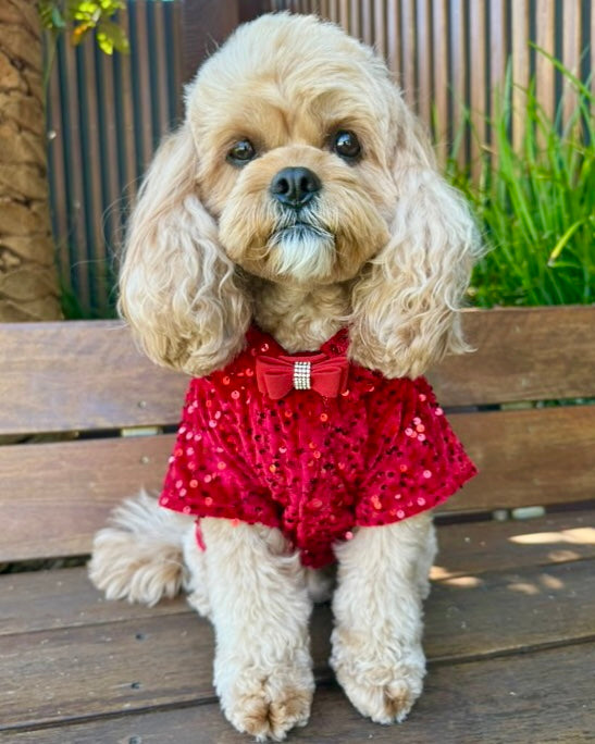 Red Velvet Sequin Shirt