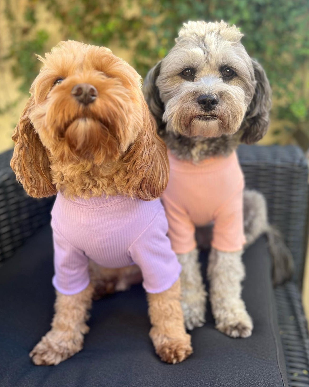 Lenny Loungewear Top Purple