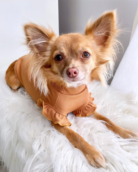 Arabella Frilly Sleeve Top Brown