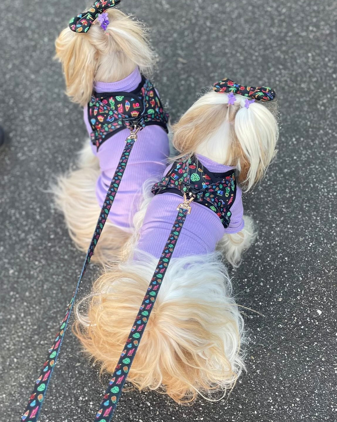 Wet'n'Wild Neon Lights Step In Vest Harness