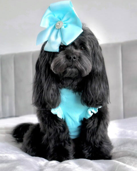 Arabella Frilly Sleeve Top Tiffany Blue
