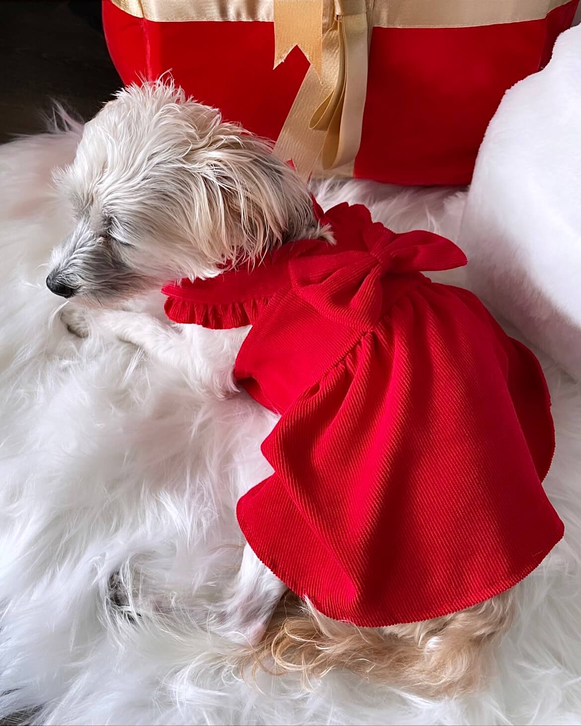Stella Red Corduroy Dress