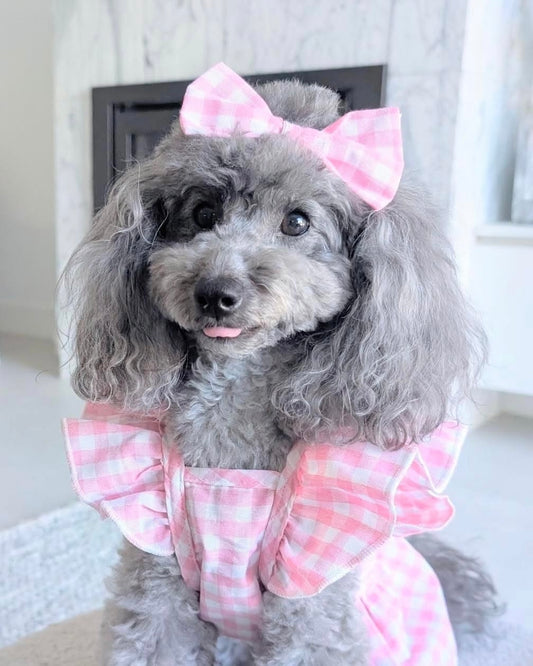 Bethany Pink Gingham Dress