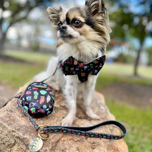 Wet'n'Wild Neon Lights Set