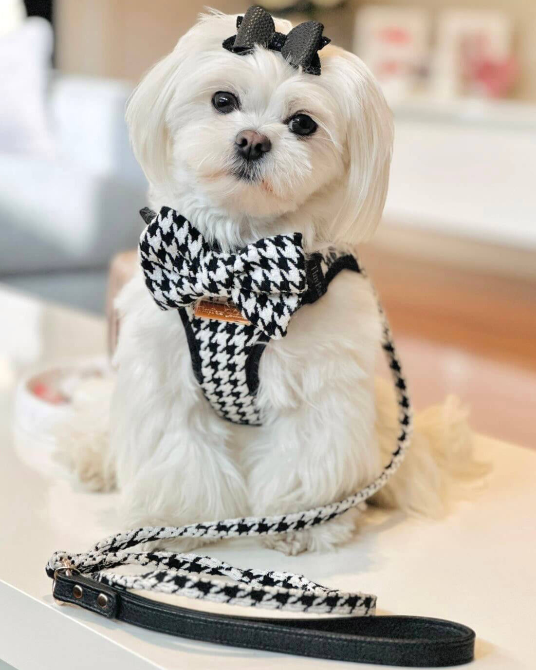Little Luxe Houndstooth Set