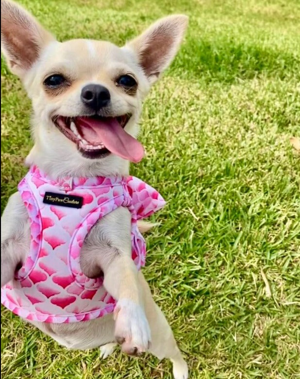 Wet'n'Wild Pink Gatsby Step In Vest Harness