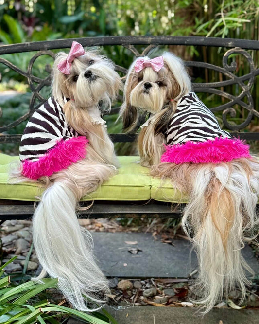 Zelda Fashionista Dress