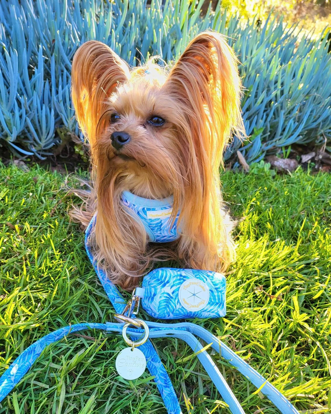 Little Luxe Blue Leaf Step In Vest Harness