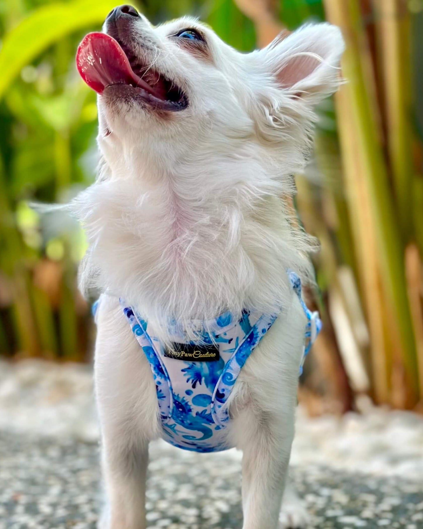 Wet'n'Wild Seahorse Step In Vest Harness