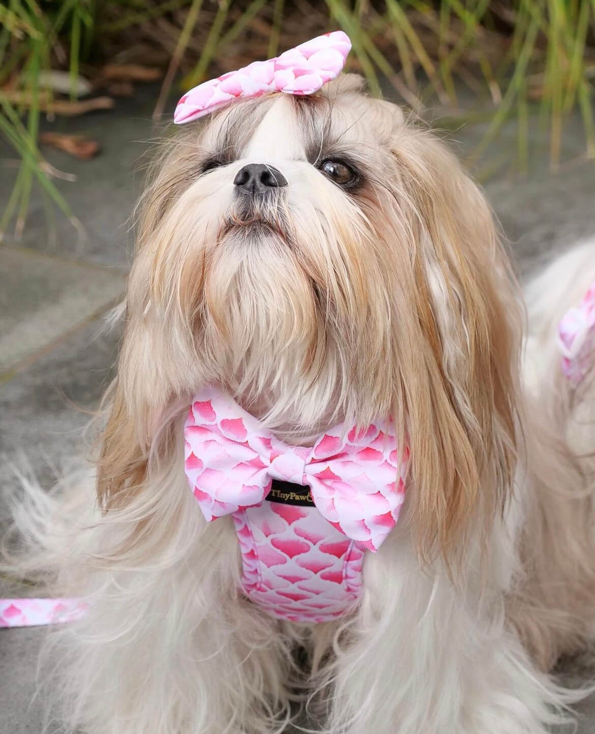 Wet'n'Wild Pink Gatsby Step In Vest Harness