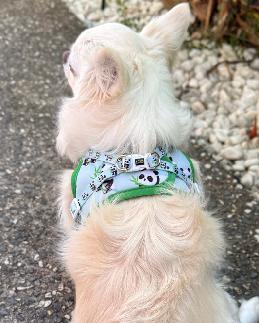 Wet'n'Wild Panda Step In Vest Harness