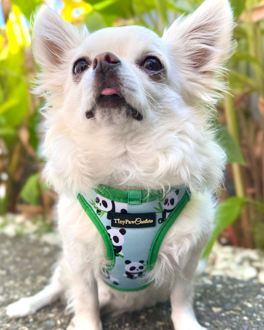 Wet'n'Wild Panda Step In Vest Harness