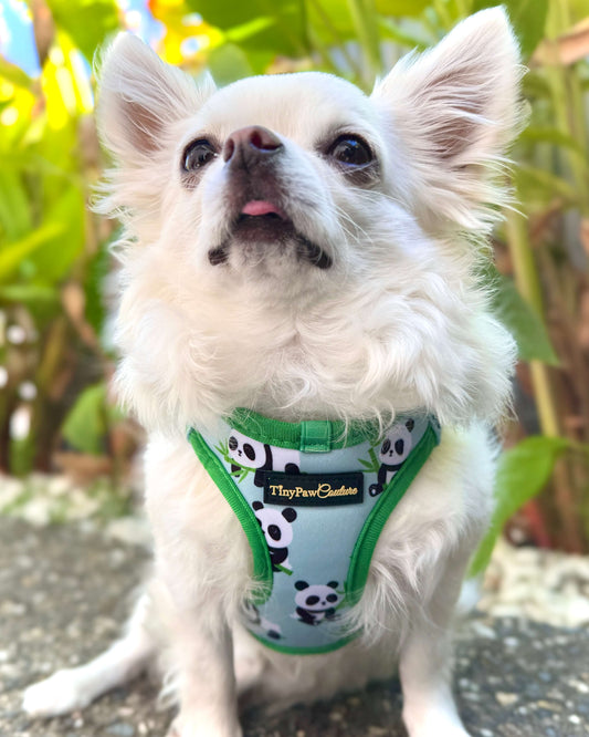 Wet'n'Wild Panda Step In Vest Harness