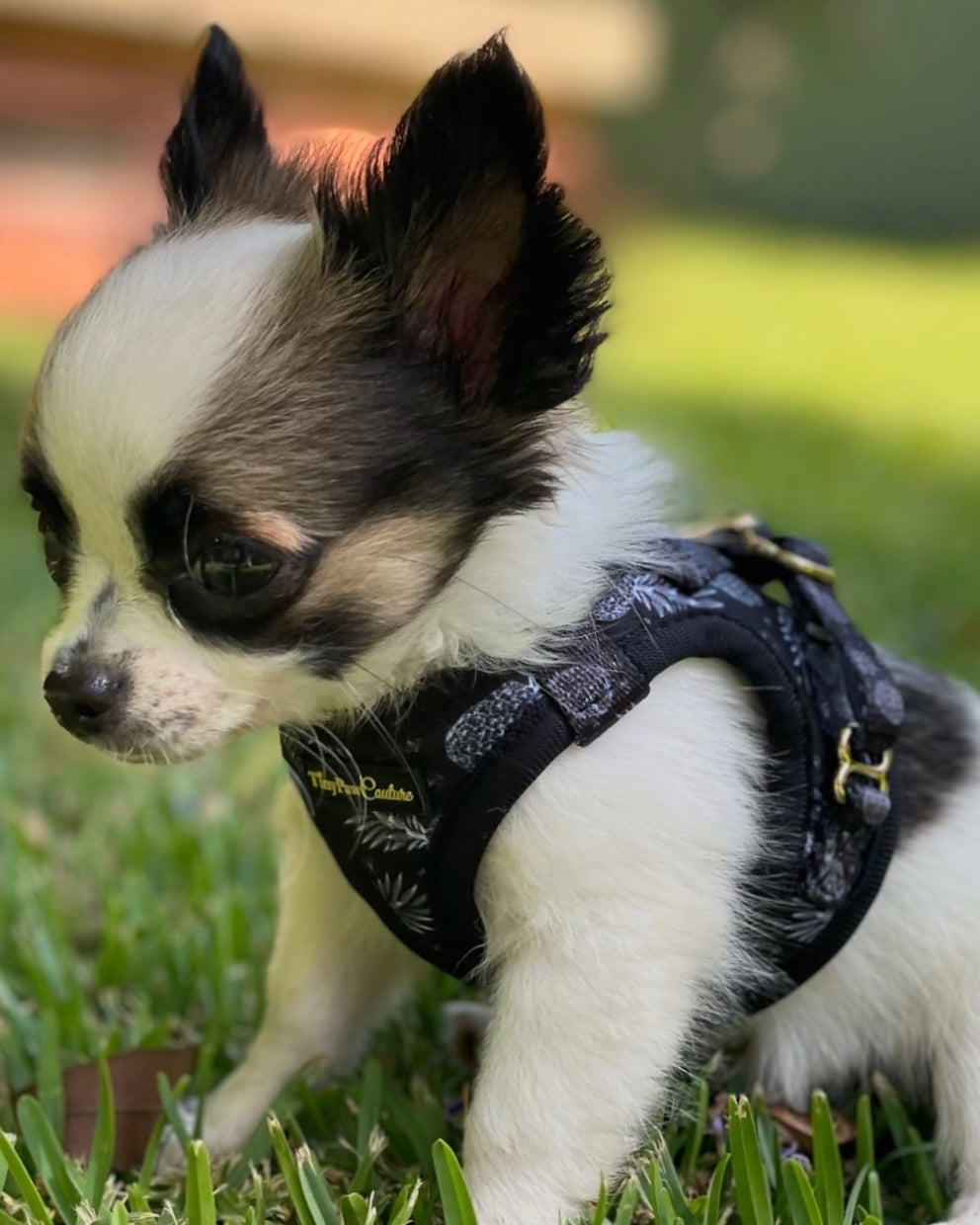 Little Luxe Pineapples Step In Vest Harness