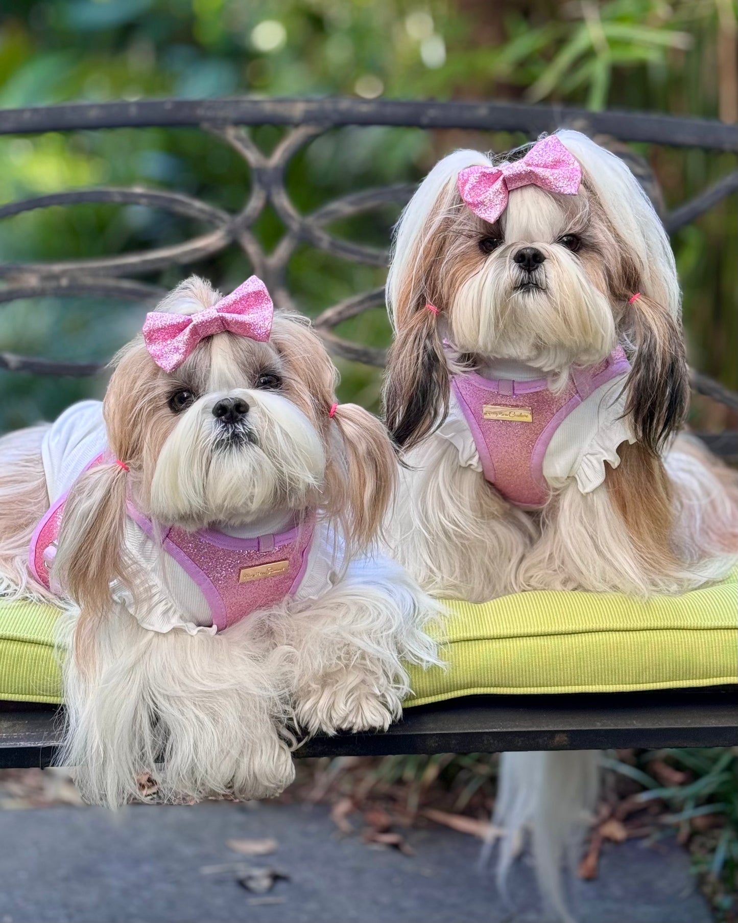 Little Luxe Glitz & Glam Pink Harness