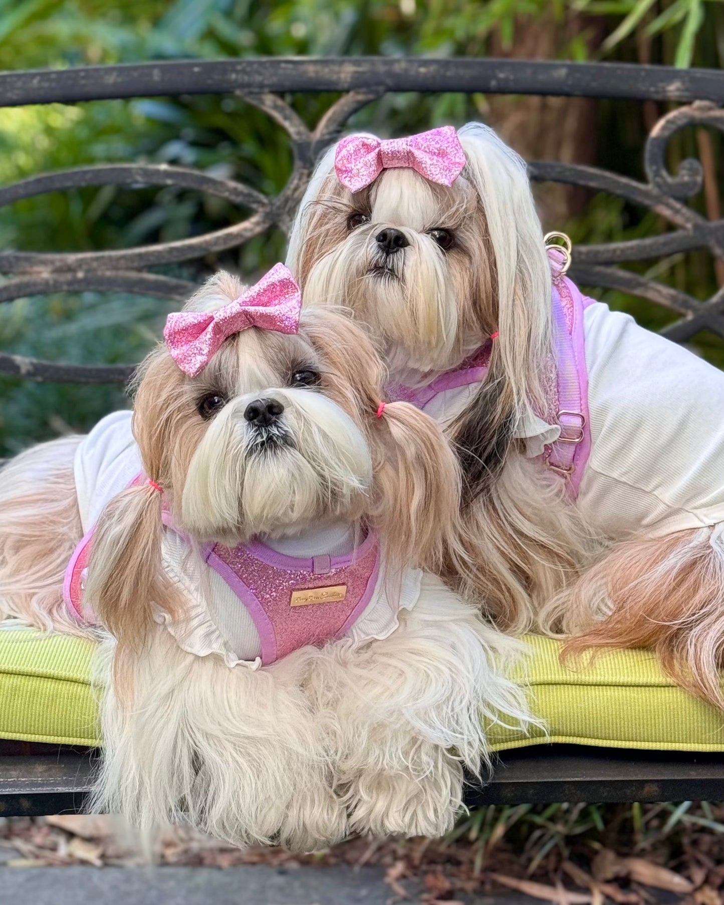 Little Luxe Glitz & Glam Pink Harness