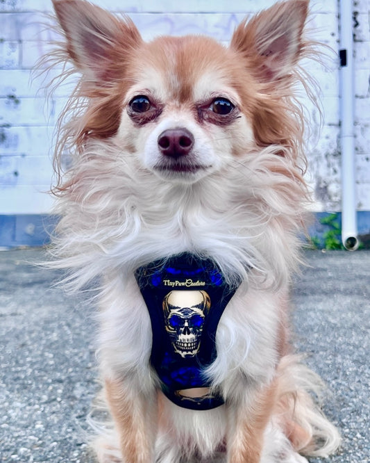 Wet'n'Wild Midnight Rebellion Harness