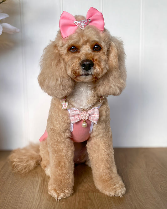 Coco Amour Pink Necklace