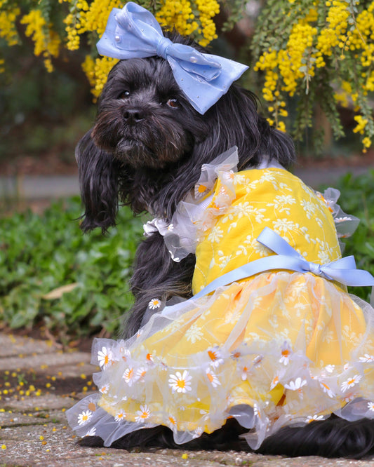 Daisy Meadow Dress