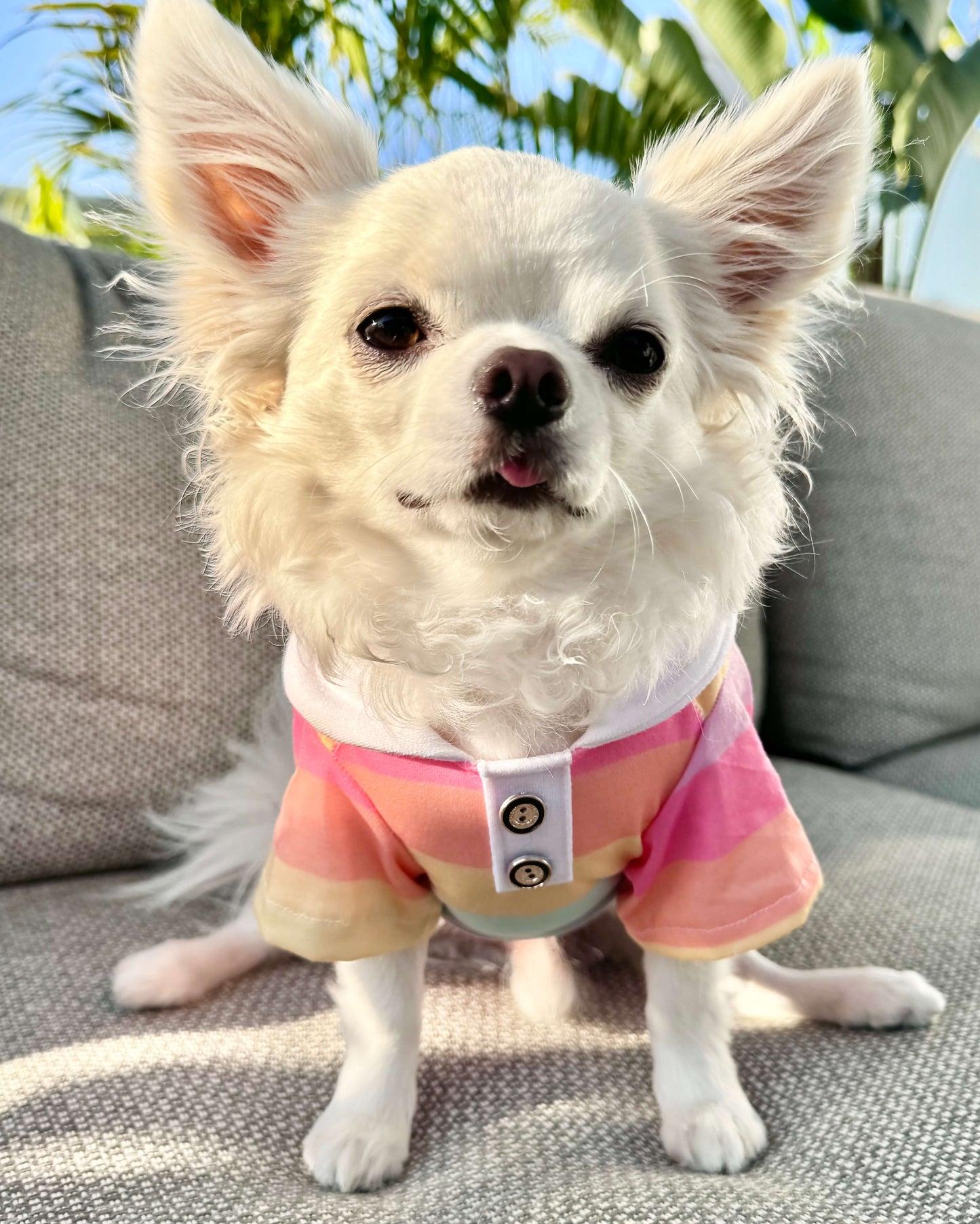 Theodore Rainbow Polo Shirt
