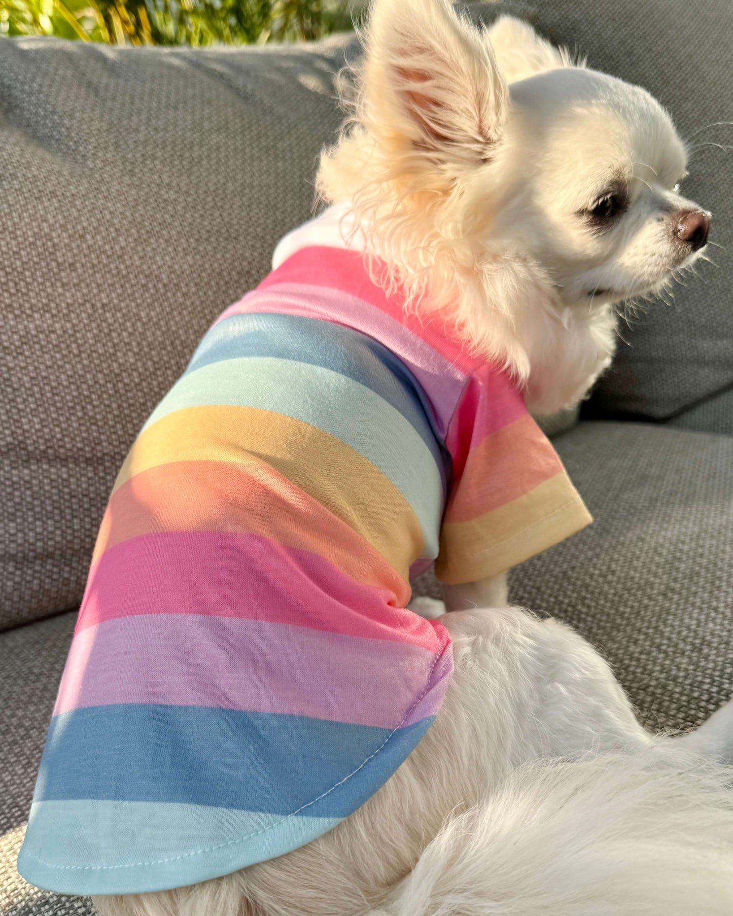 Theodore Rainbow Polo Shirt